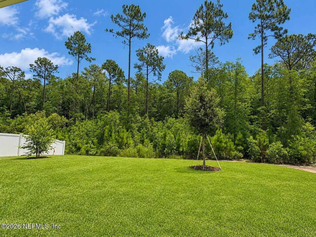 484 Foal Ridge Dr - Photo 6 of 15