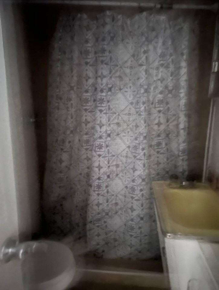 931 Chandrika Pl - Photo 3 of 10