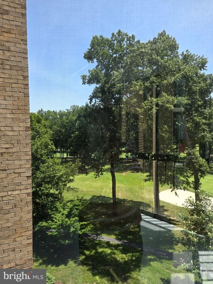 15107 Interlachen Dr #2-520 - Photo 3 of 18