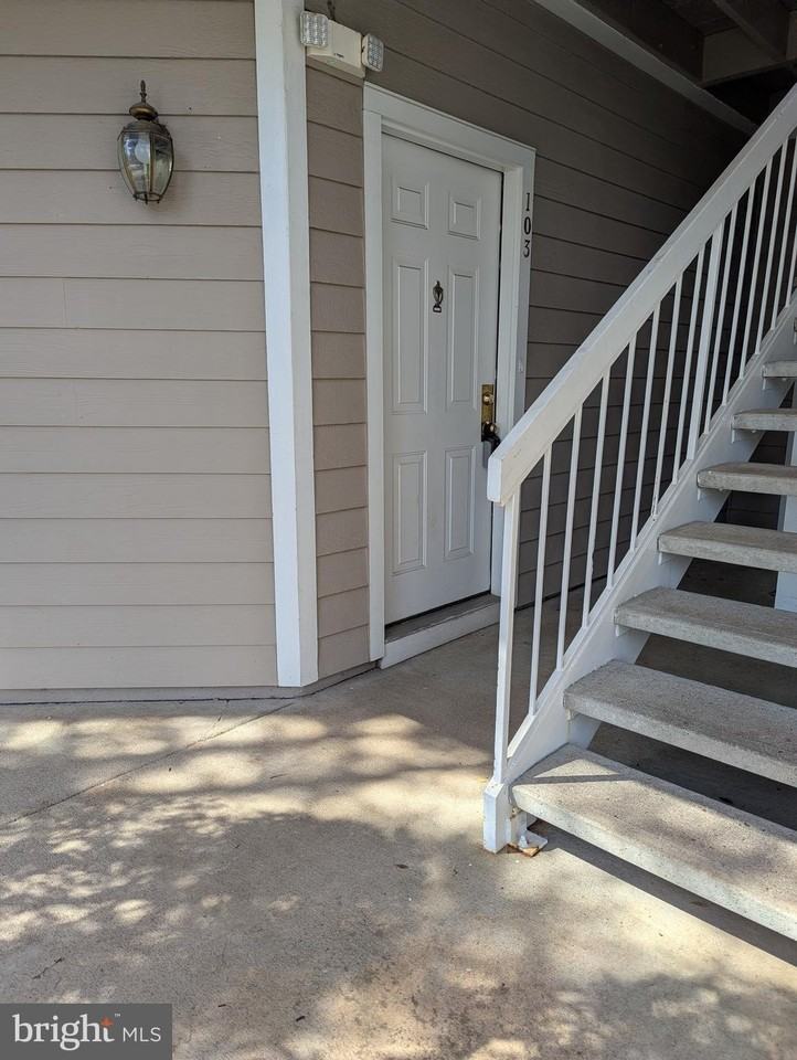 14324 Climbing Rose Way #103 - Photo 2 of 23