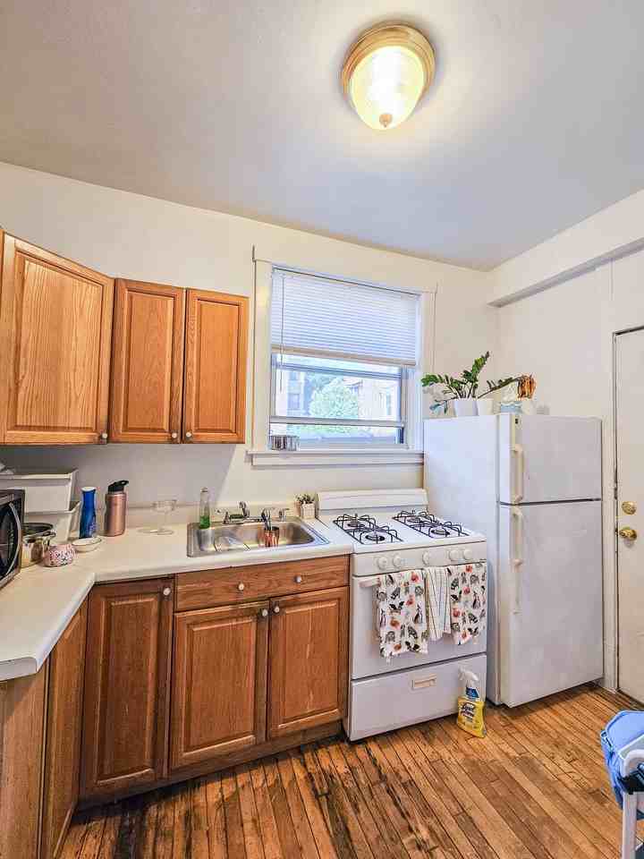 1039 W North Shore Ave #2 - Photo 3 of 14