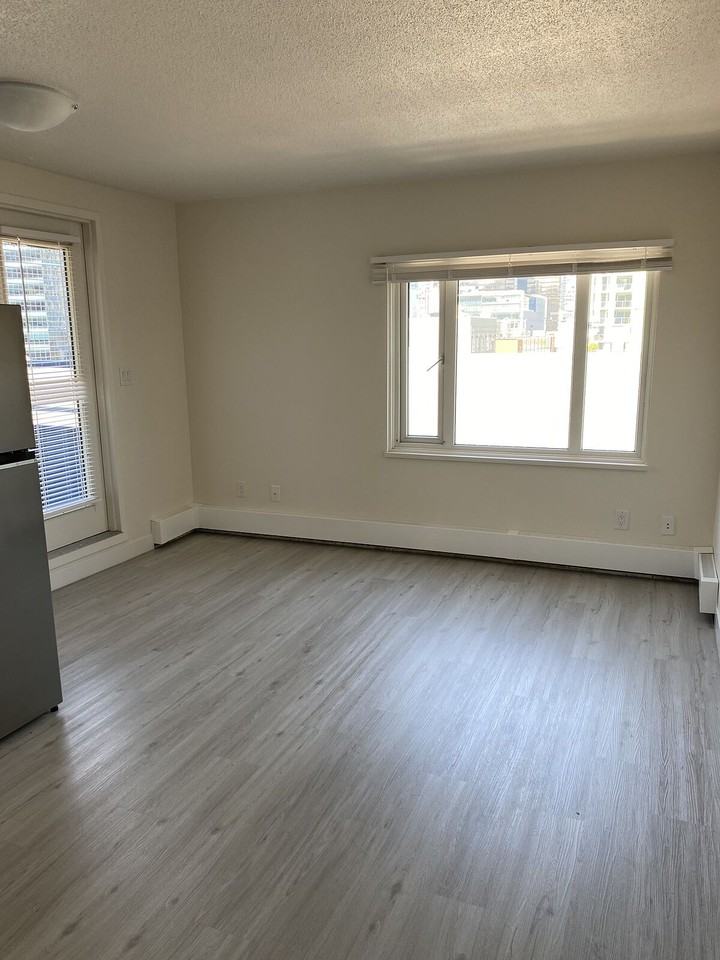 1067 Seymour St - Photo 2 of 6