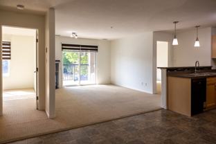 2096 The Tradition At Southbrook #250 - Photo 1 of 1