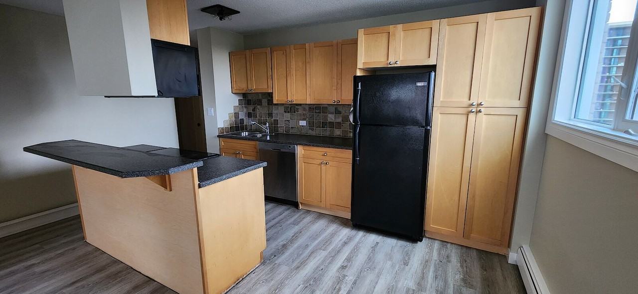 1312 13 Ave Sw - Photo 4 of 14
