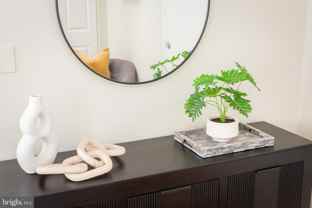 1417 Chapin St Nw #506 - Photo 1 of 1