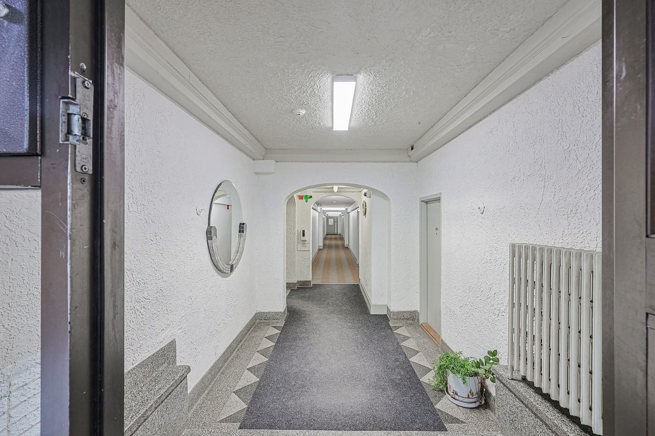 33 Maitland Street - Photo 5 of 5
