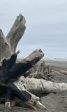 301 Yorkmar St Sw #NA - Photo 1 of 1