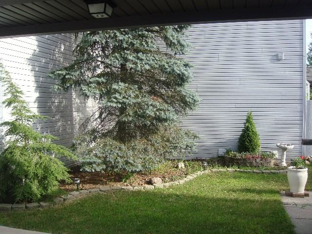 Monte Vista Dr - Photo 3 of 24