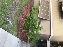 Orchid Woods Ct - Photo 1 of 1
