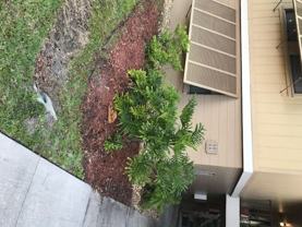 Orchid Woods Ct - Photo 1 of 1