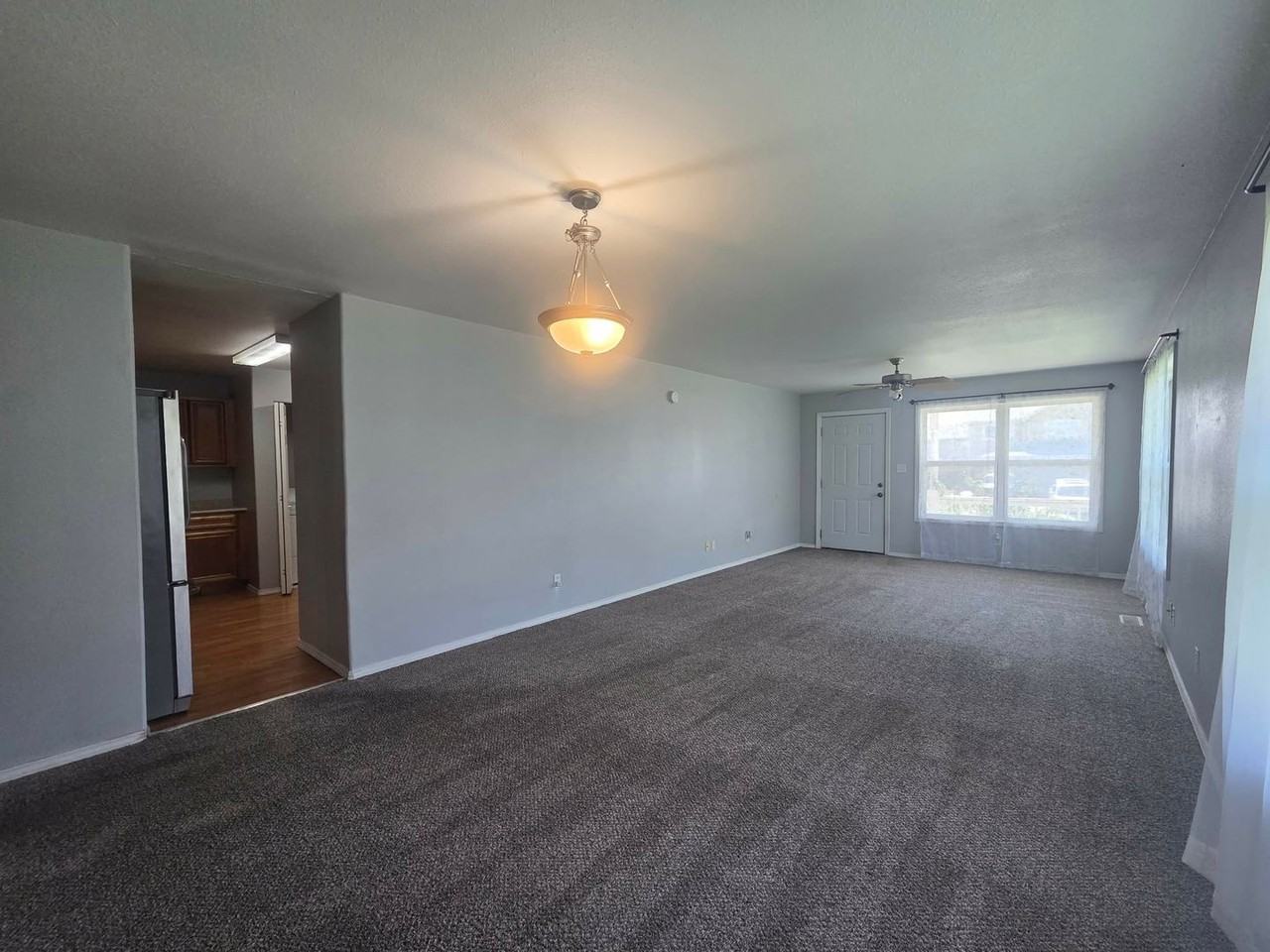 906 Whitetail Ct - Photo 4 of 27