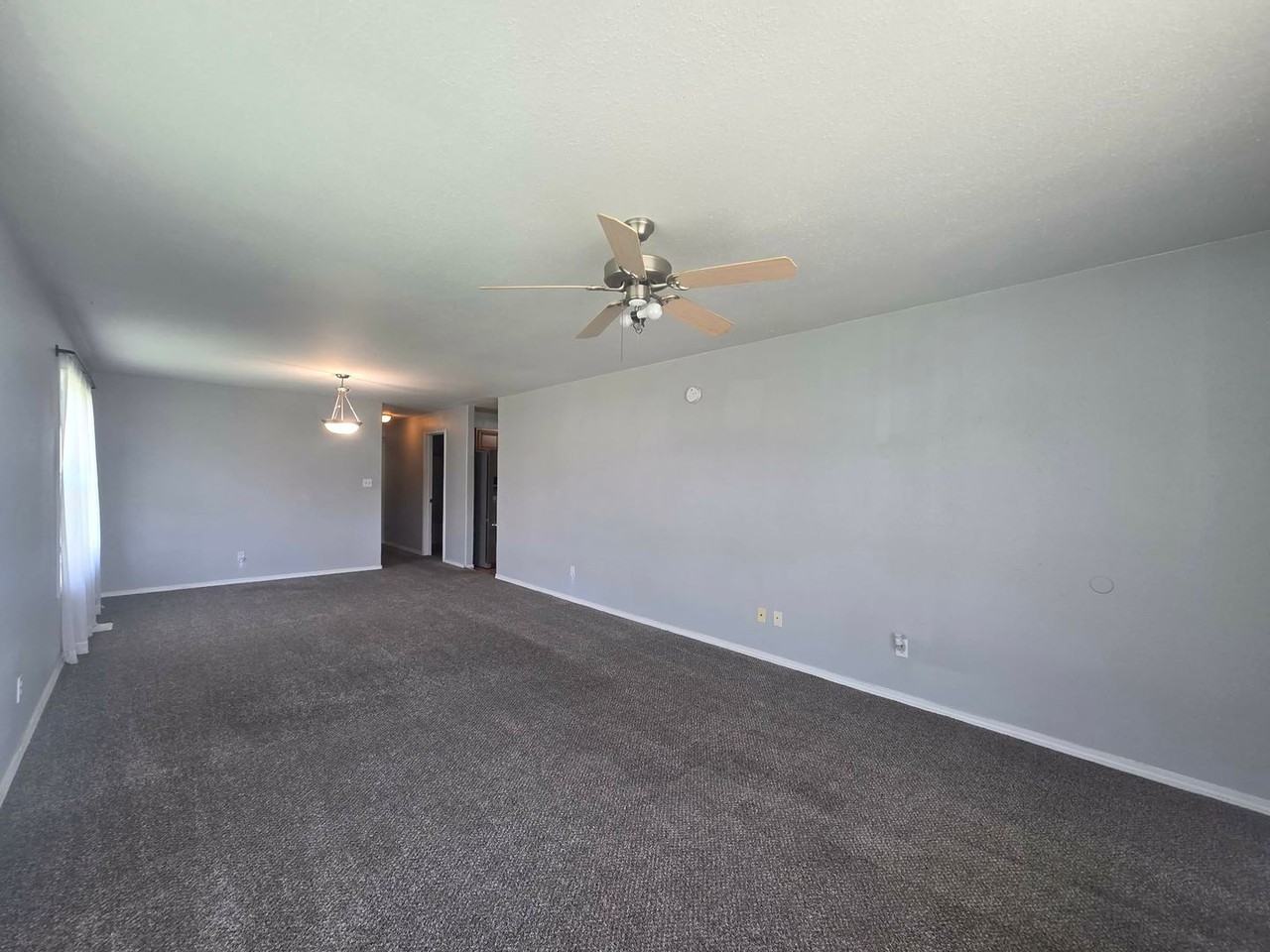 906 Whitetail Ct - Photo 6 of 27