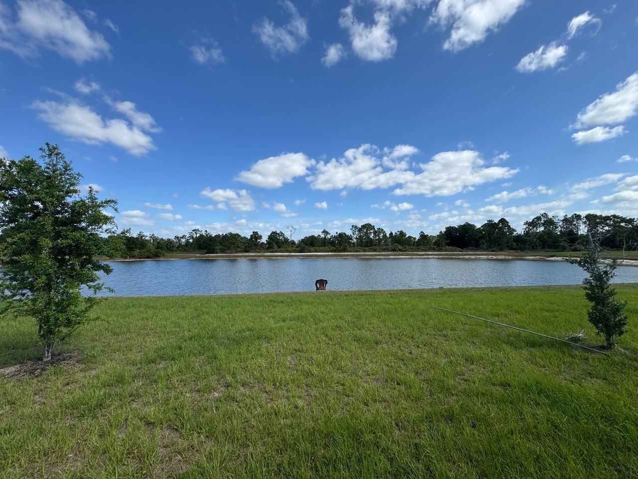 1151 Oceanic Rd - Photo 3 of 22