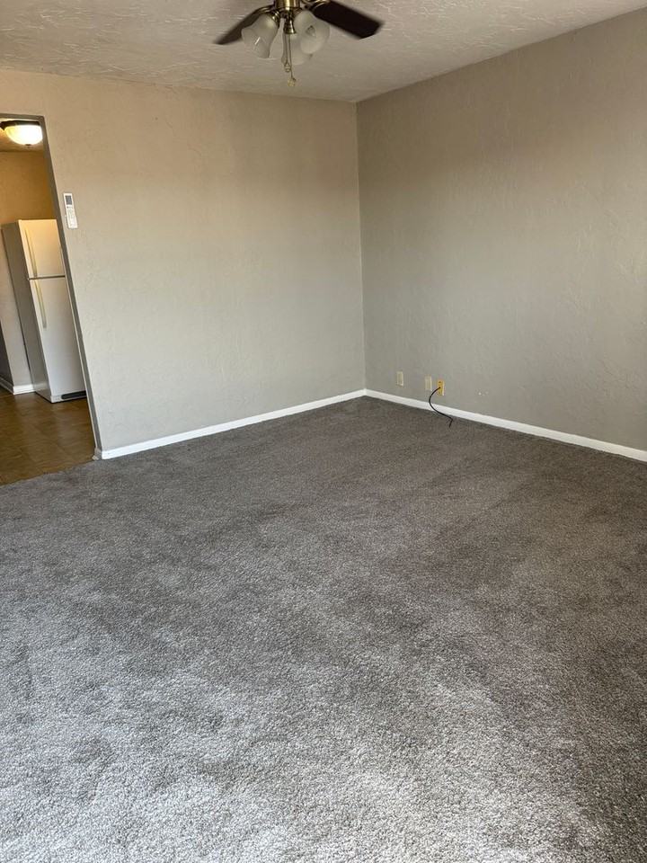 311 1/2 E Oklahoma Ave - Photo 4 of 16