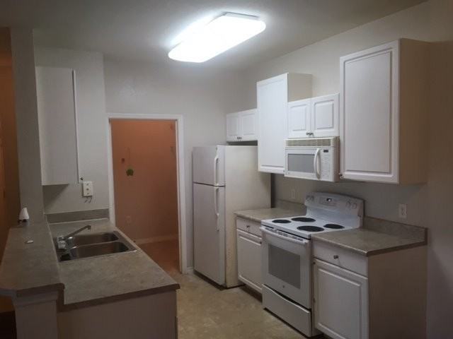 1011 Hemingway Cir - Photo 2 of 6