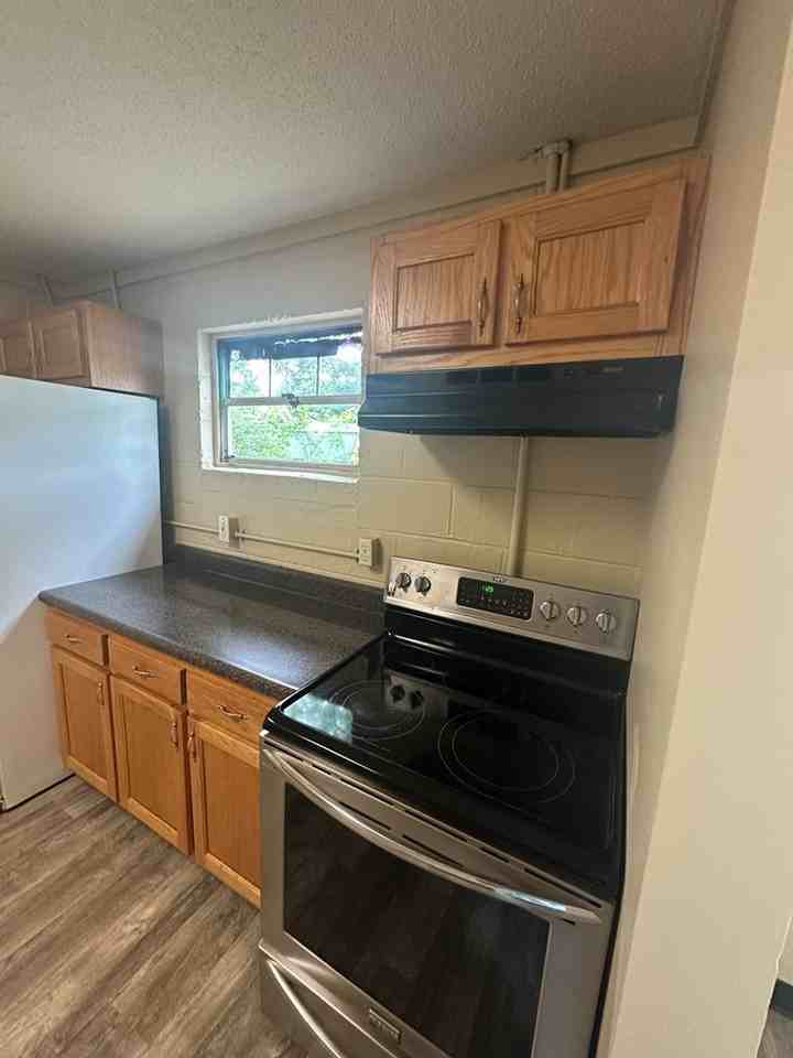 1529 Mountain View Ct - Photo 7 of 16