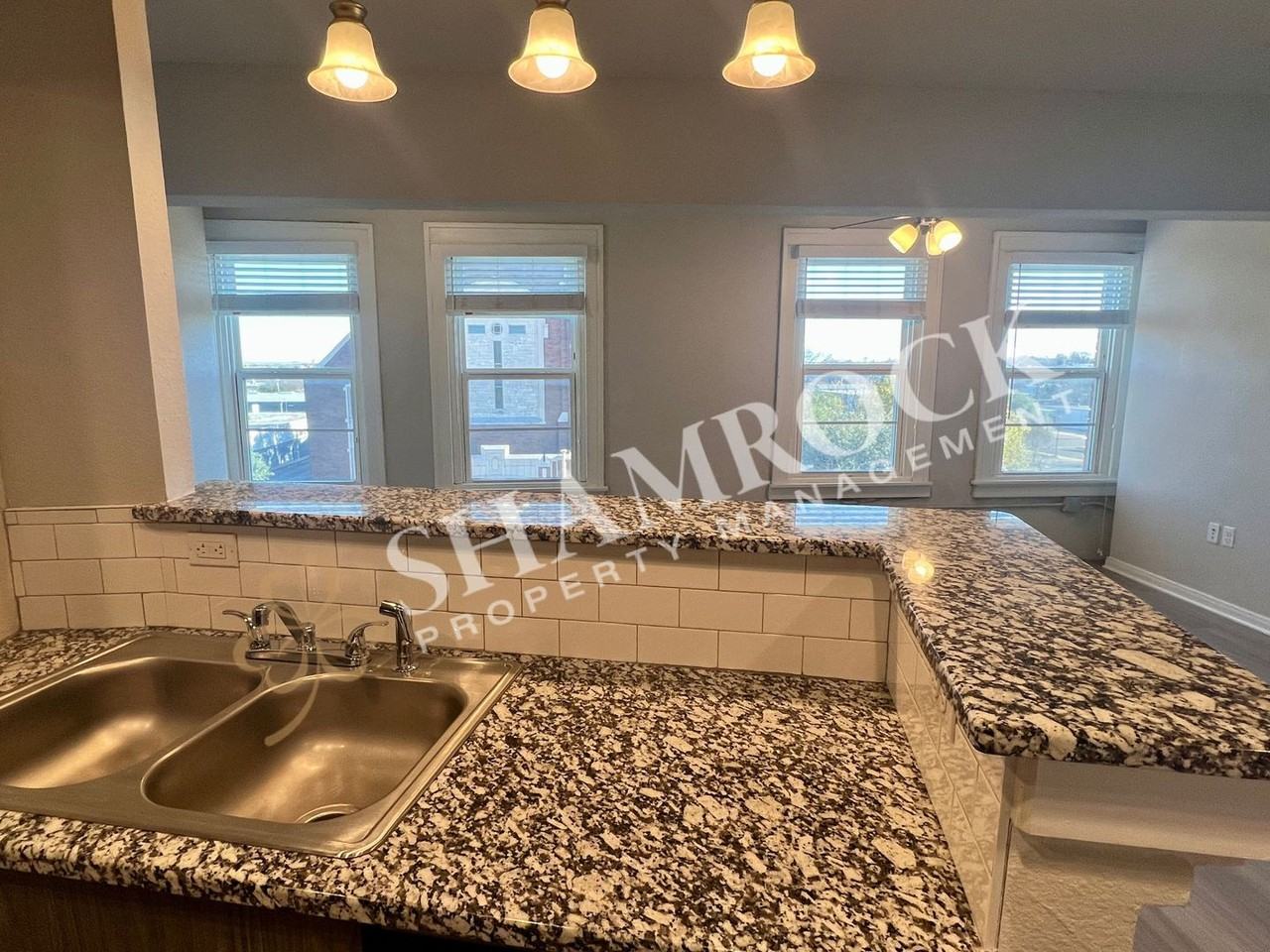 1307 Austin Ave #401 - Photo 6 of 14