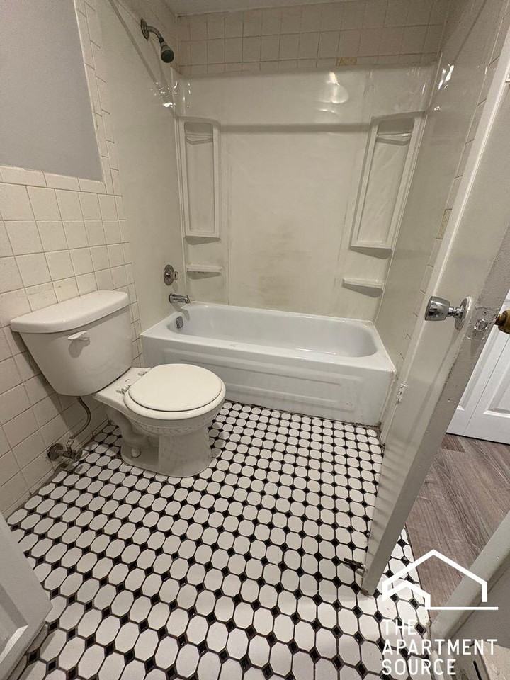 1128 Des Plaines Ave #304 - Photo 6 of 12