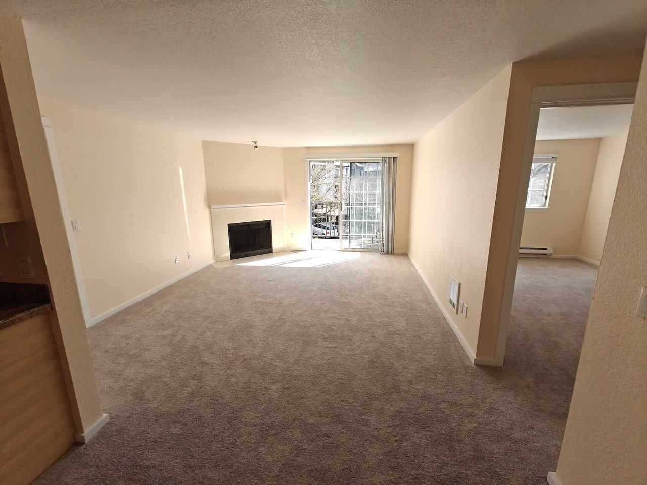 916 3rd Ave #A301