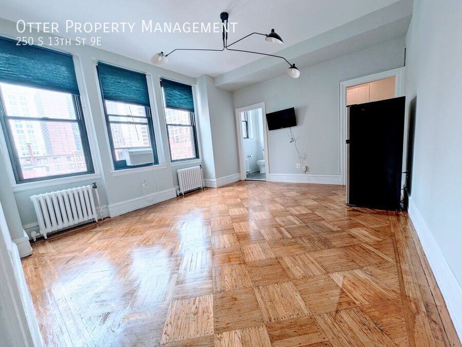 250 S 13th St Apt 9e #9E - Photo 3 of 14