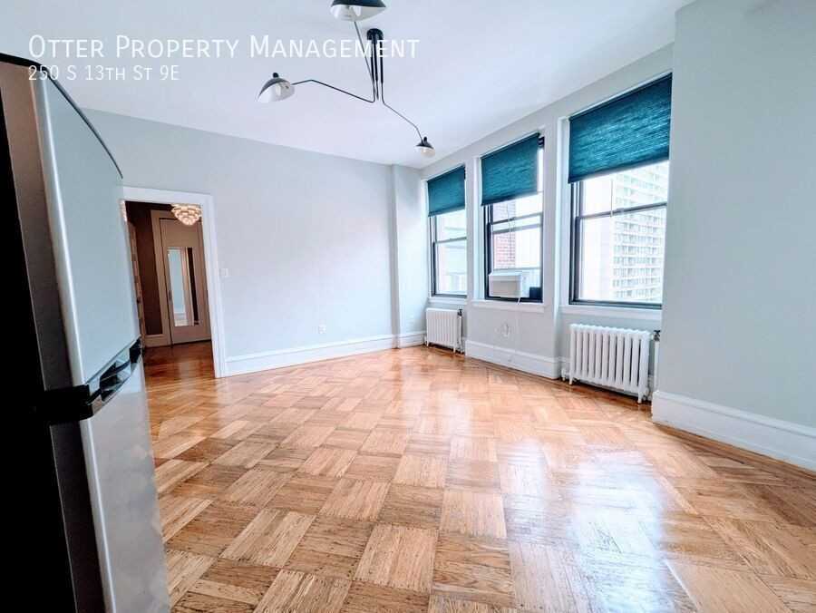 250 S 13th St Apt 9e #9E - Photo 4 of 14