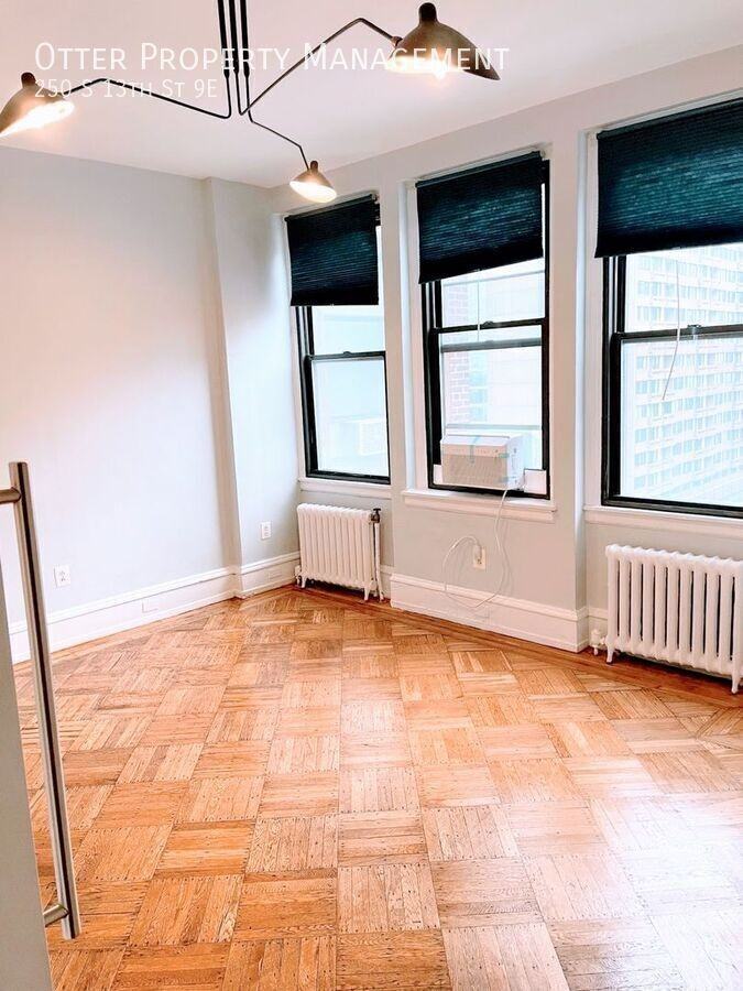 250 S 13th St Apt 9e #9E - Photo 5 of 14