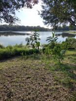 334 Lake Shepard Dr #NA - Photo 1 of 1