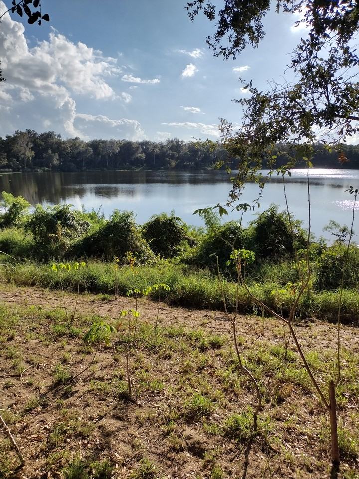 334 Lake Shepard Dr #NA - Photo 3 of 34