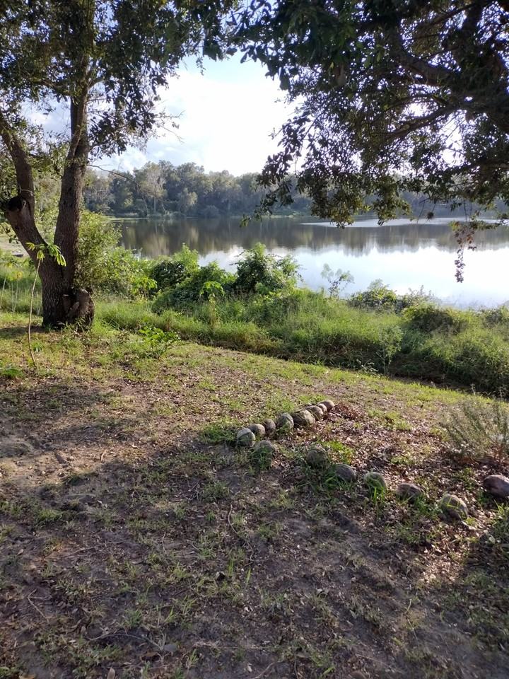 334 Lake Shepard Dr #NA - Photo 5 of 34
