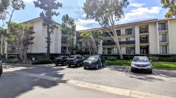 featured image of 7113 Apricot Dr