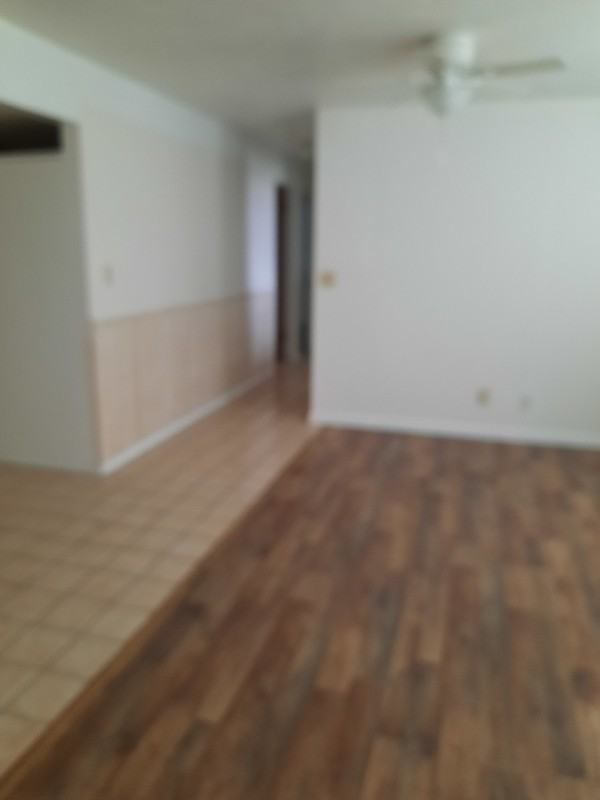 3760 Ws - Photo 7 of 40
