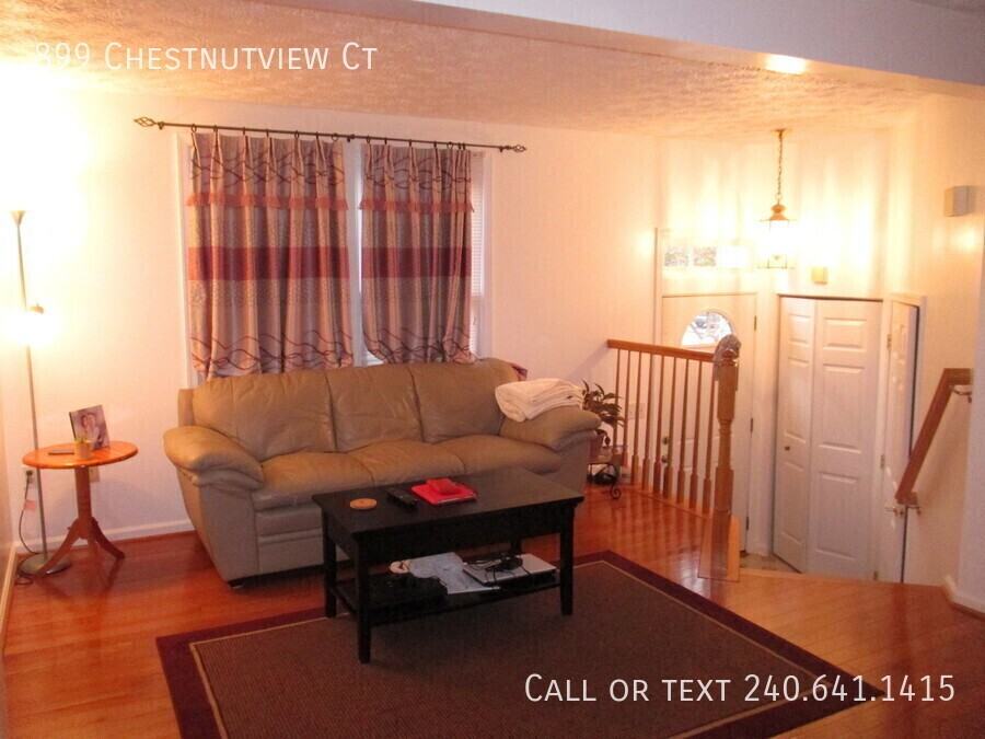899 Chestnutview Ct - Photo 3 of 28