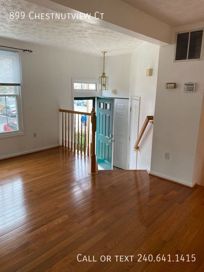 899 Chestnutview Ct - Photo 4 of 28