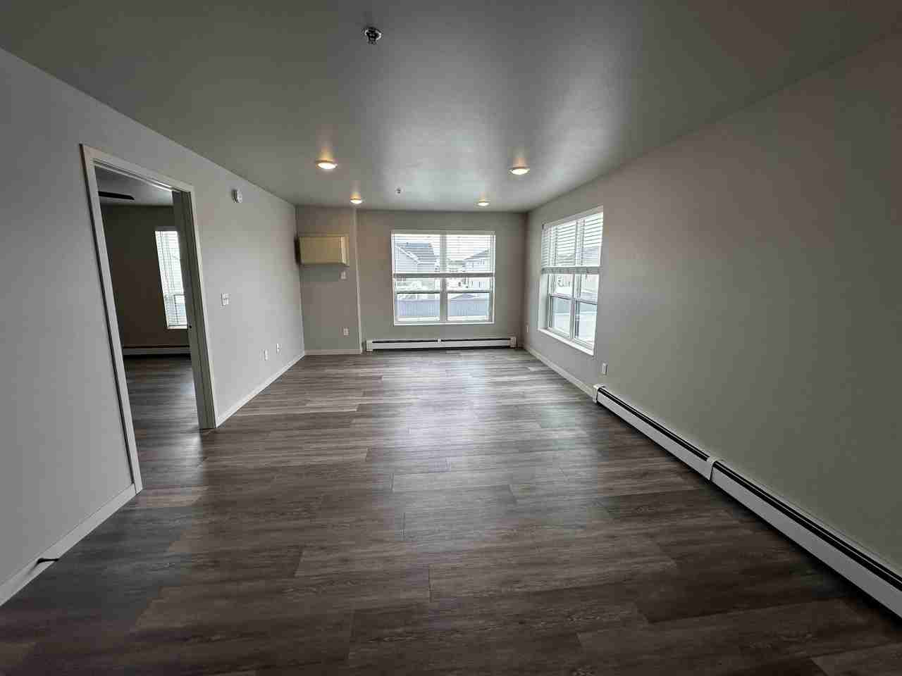 3156 Bluestem Dr #203 - Photo 3 of 15