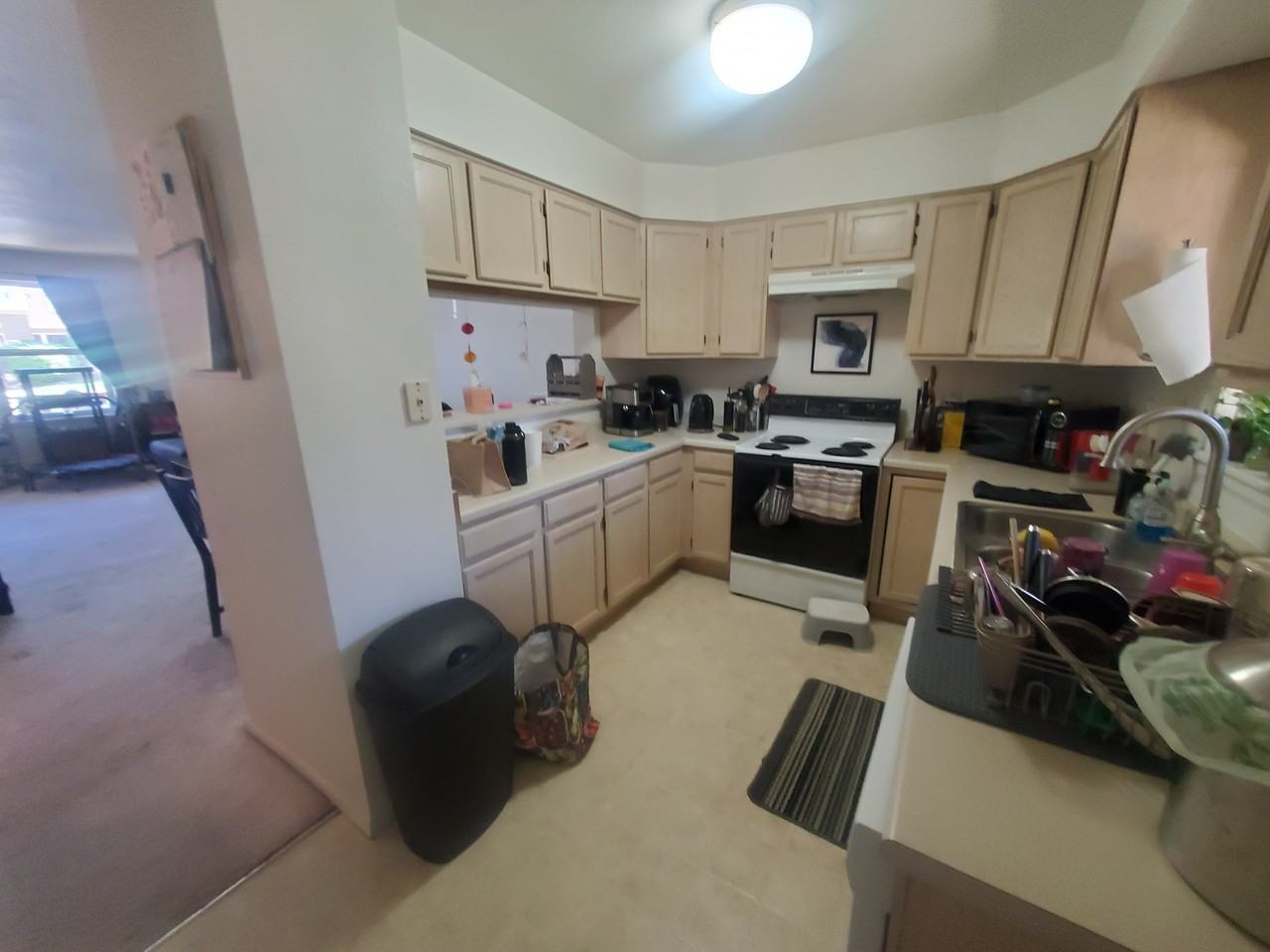 285 Pheasant Run - Photo 2 of 13
