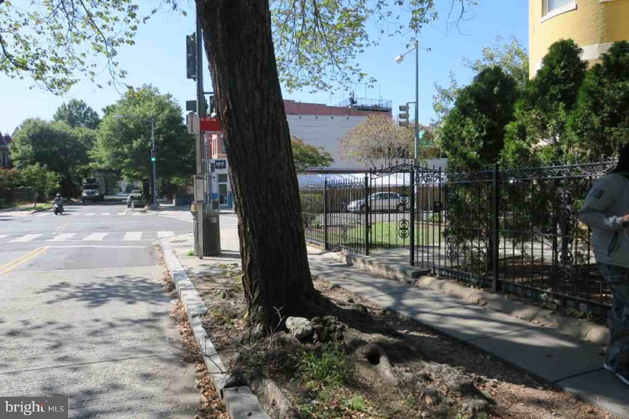 1031BASEME Park Rd Nw - Photo 4 of 13