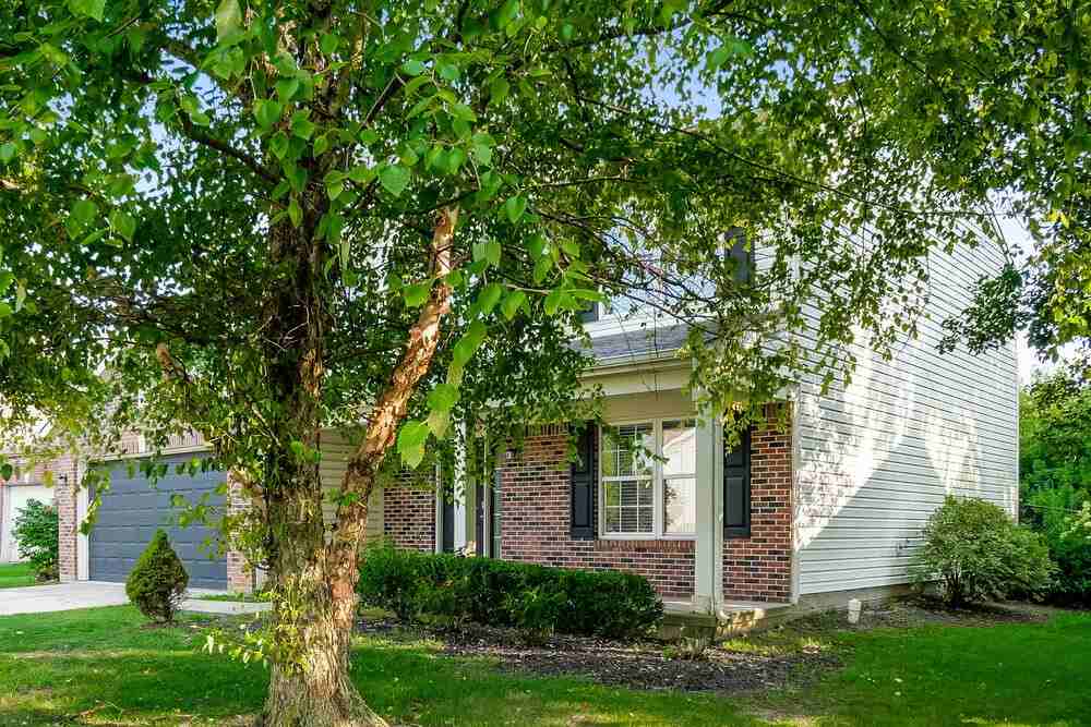 749 Morgan Way - Photo 4 of 17