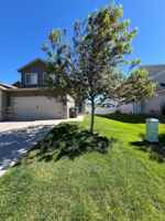 featured image of 6608 Horse Soldier Rd