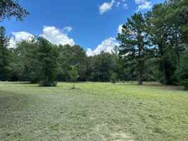 featured image of 310 Cotten Ln