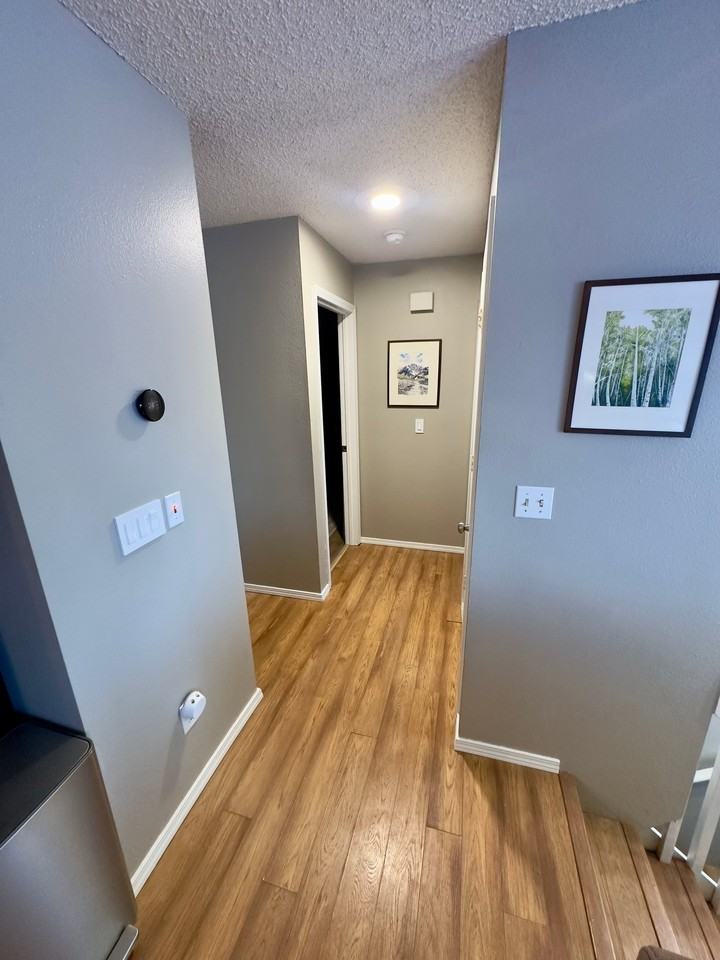 1517 Tramon Ave - Photo 6 of 20