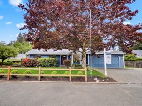3910 Maple Rd - Photo 1 of 1