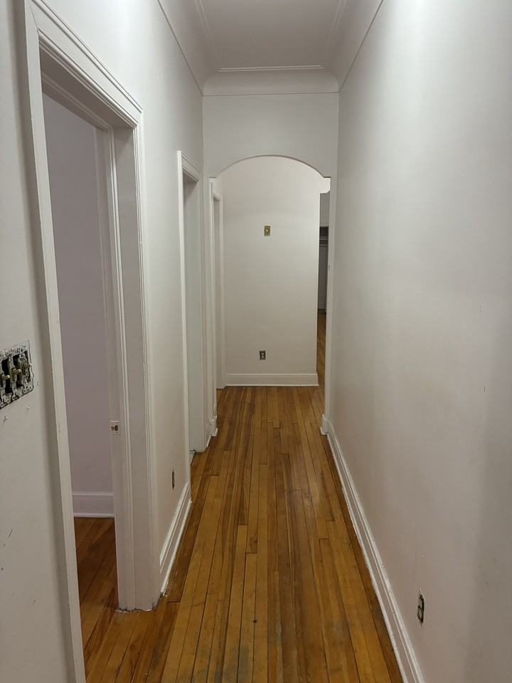 255 Daly Avenue #1 - Photo 2 of 45