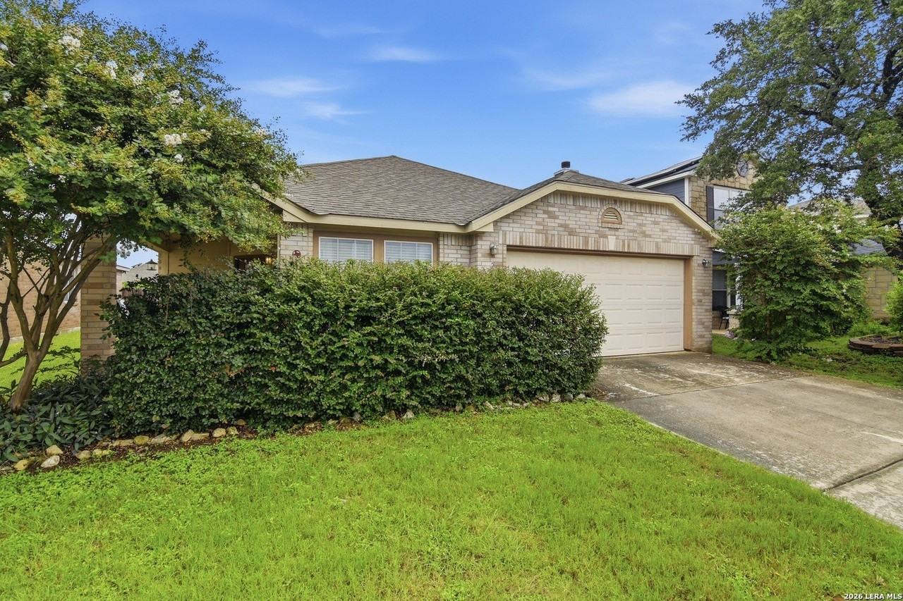 25537 Gold Yarrow - Photo 2 of 34