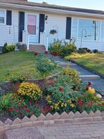 featured image of 74 Indian Hill Ave