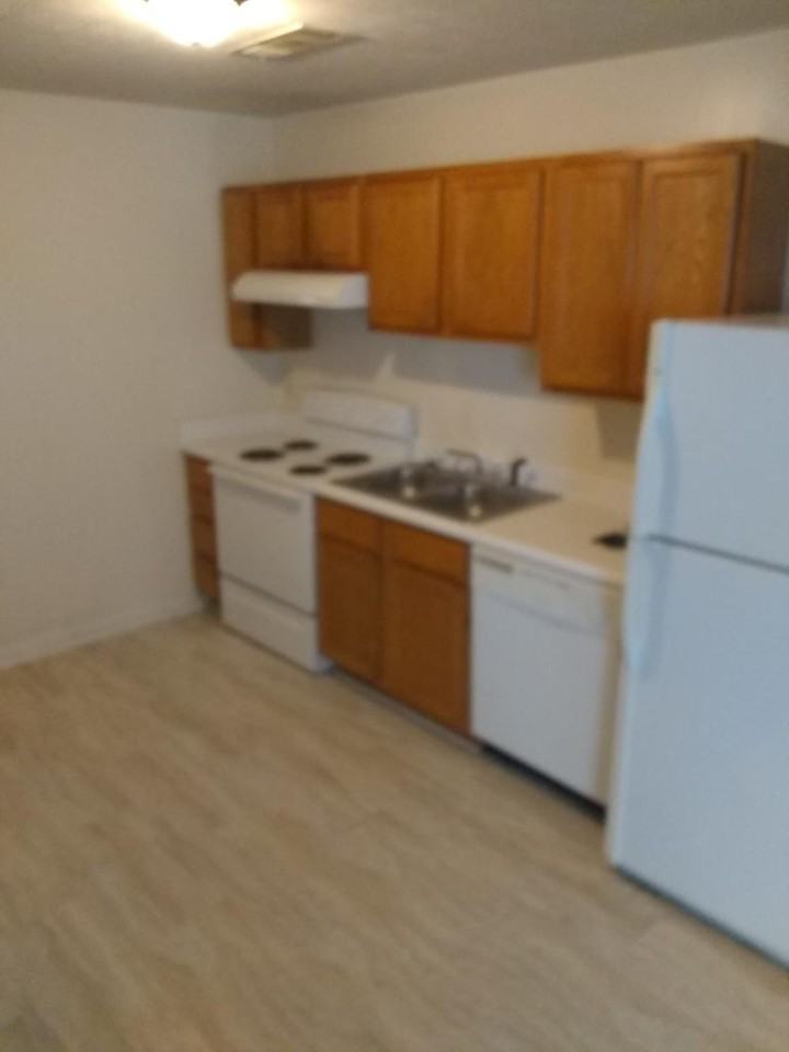 209 E Wilson St #1 - Photo 4 of 5