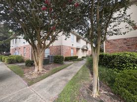 900 Dean Lee Dr #1508 - Photo 1 of 1