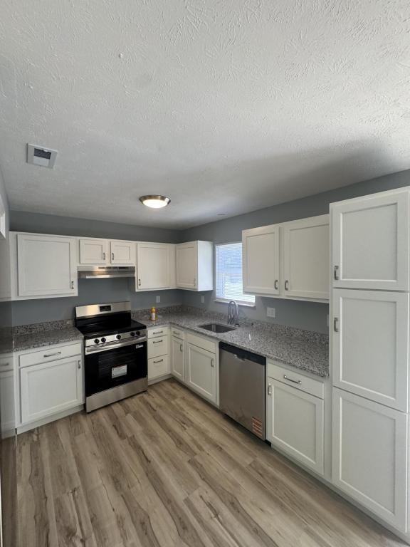52 Apple Ln - Photo 2 of 16