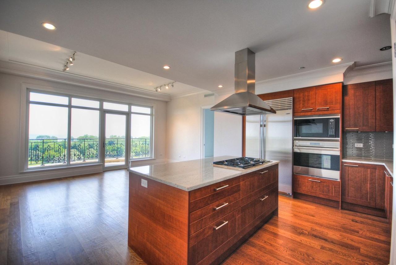 2550 N Lakeview Ave #N803 - Photo 4 of 14