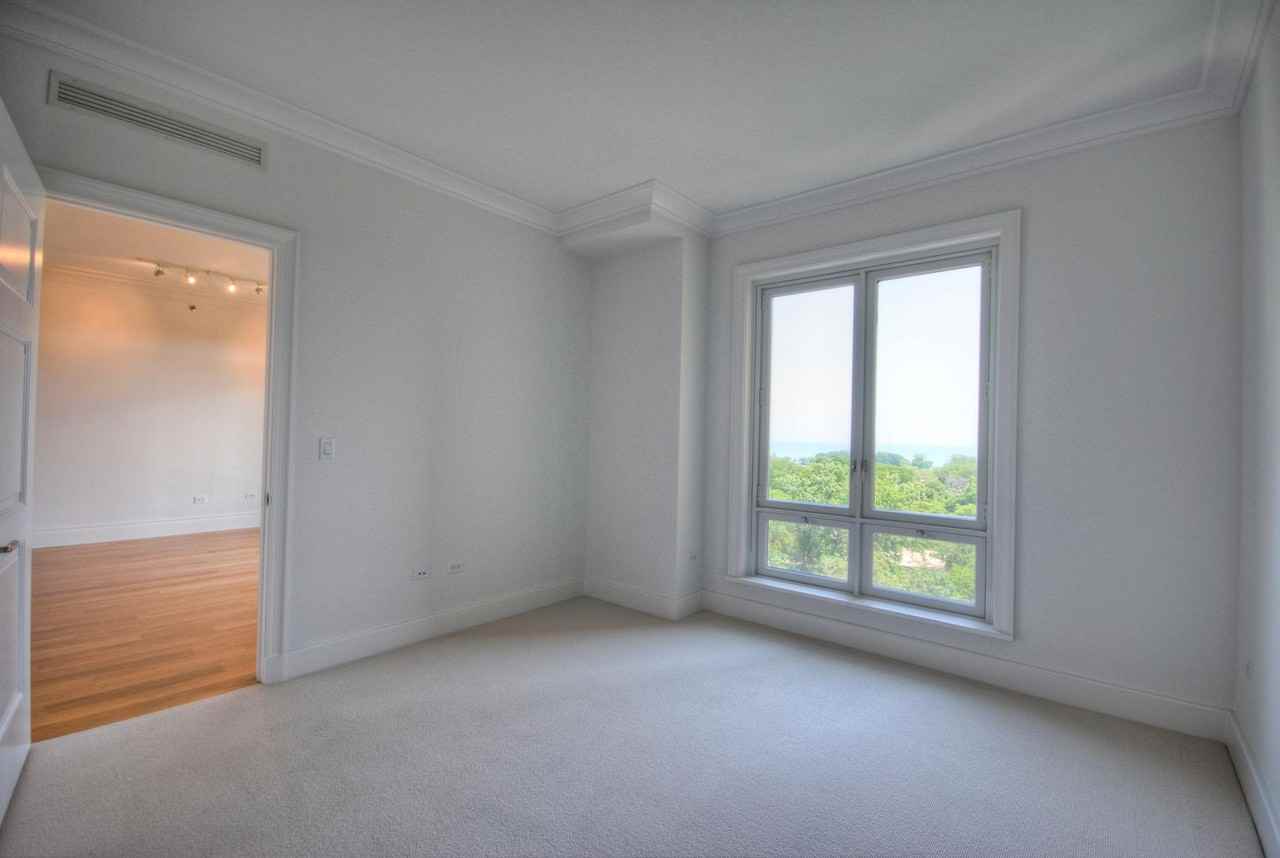 2550 N Lakeview Ave #N803 - Photo 7 of 14