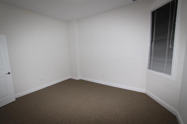 4030 S Cottage Grove Ave - Photo 5 of 12